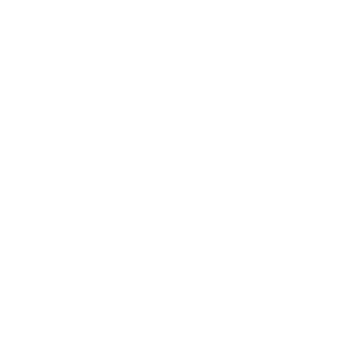  LuxoVision
